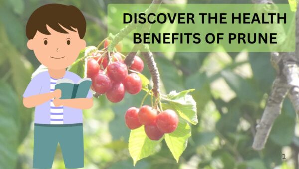 Health Benifits of Prune